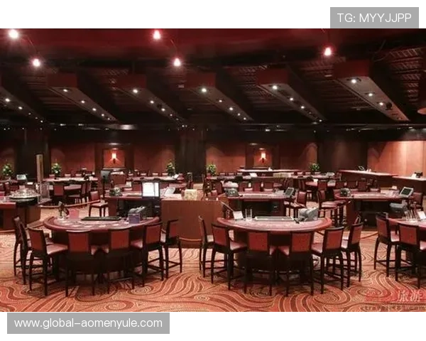 澳门金莎娱乐体验：享受奢华与刺激的完美结合