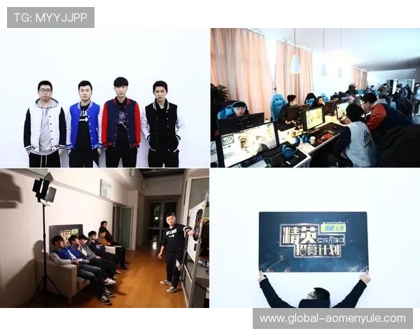 如何选择靠谱的真人体育导航平台，提升观看体验和赛事精彩度